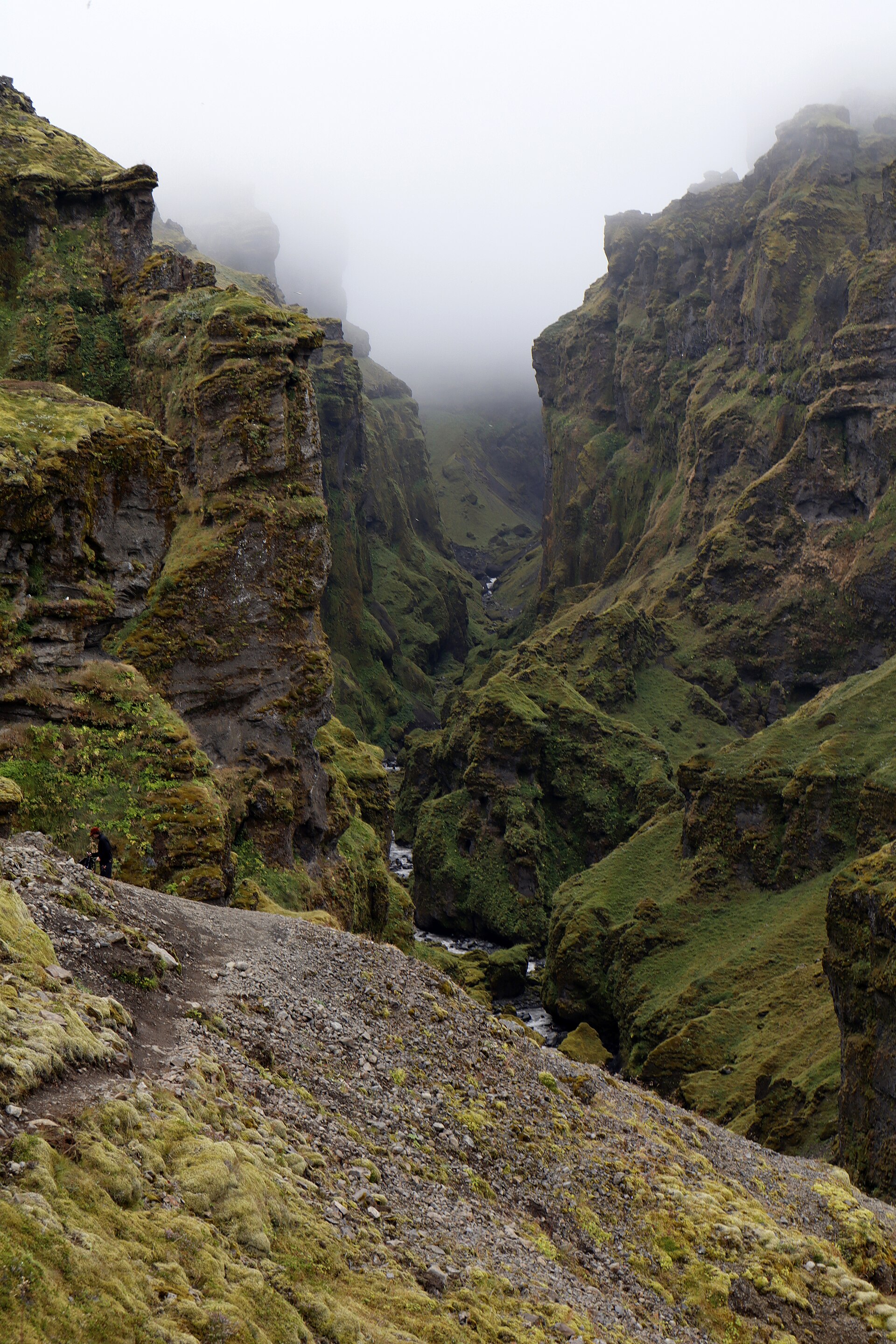 Hiker dwarfed by the moss-covered spires inside Múlagljúfur