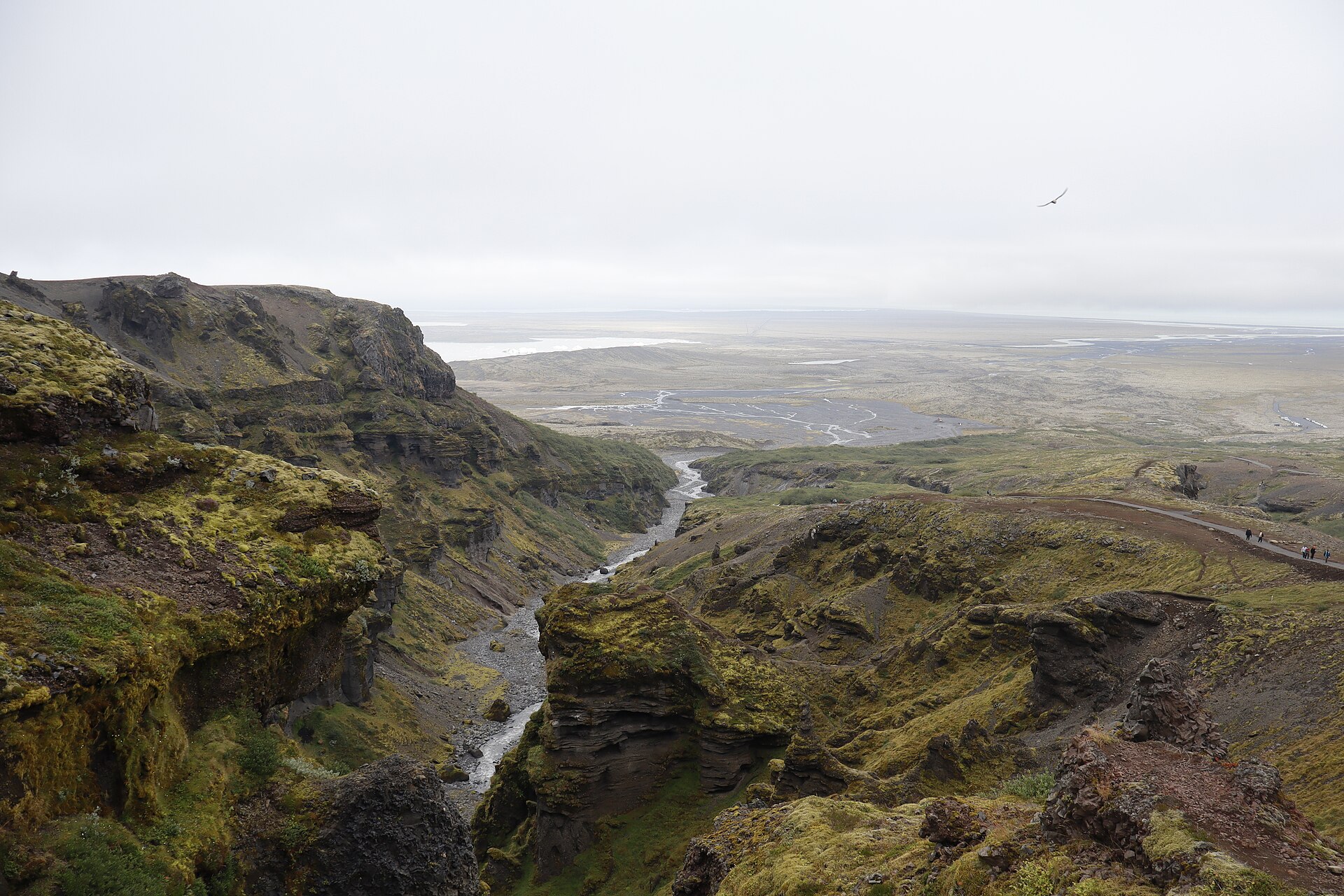 View from the rim down the braided river to the sandur and sea, a fulmar overhead