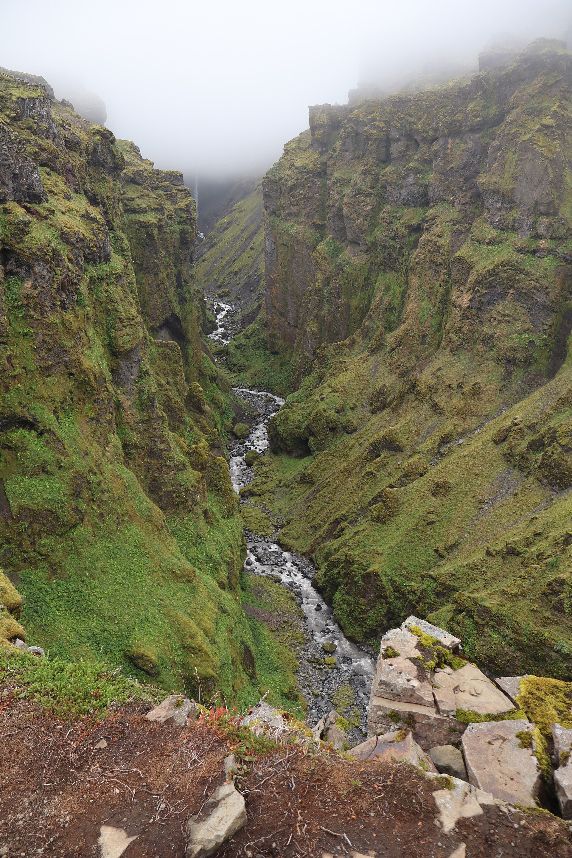Lush green gorge with the river threading between moss walls
